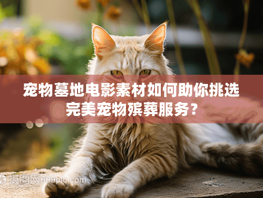 宠物墓地电影素材如何助你挑选完美宠物殡葬服务？