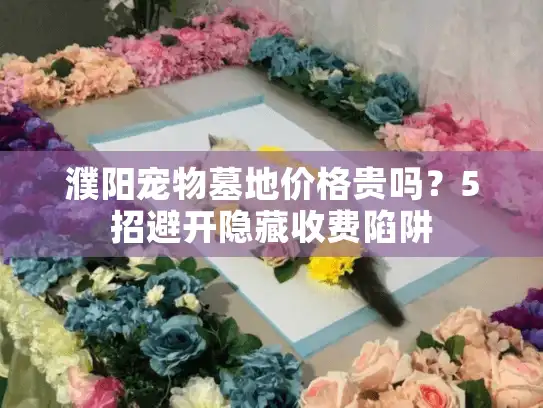 濮阳宠物墓地价格贵吗？5招避开隐藏收费陷阱