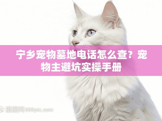宁乡宠物墓地电话怎么查?宠物主避坑实操手册 宁乡宠物墓地电话怎么查?宠物主避坑实操手册