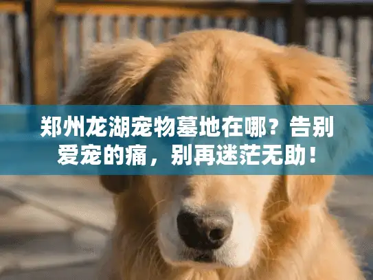 郑州龙湖宠物墓地在哪？告别爱宠的痛，别再迷茫无助！