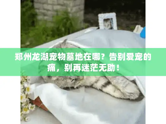 郑州龙湖宠物墓地在哪？告别爱宠的痛，别再迷茫无助！
