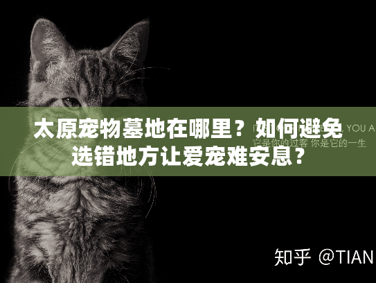 太原宠物墓地在哪里？如何避免选错地方让爱宠难安息？