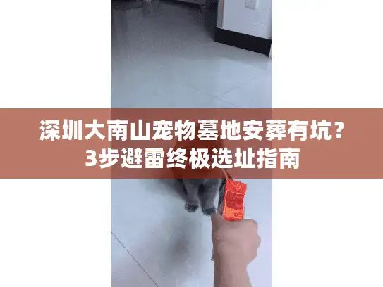 深圳大南山宠物墓地安葬有坑?3步避雷终极选址指南 深圳大南山宠物墓地安葬有坑?3步避雷终极选址指南