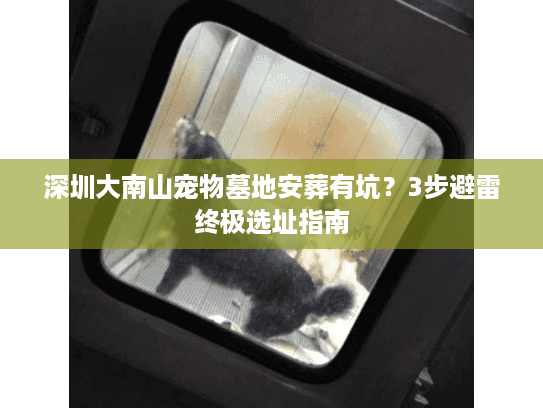 深圳大南山宠物墓地安葬有坑?3步避雷终极选址指南 深圳大南山宠物墓地安葬有坑?3步避雷终极选址指南
