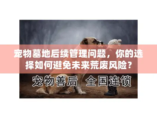 宠物墓地后续管理问题,你的选择如何避免未来荒废风险? 宠物墓地后续管理问题,你的选择如何避免未来荒废风险?