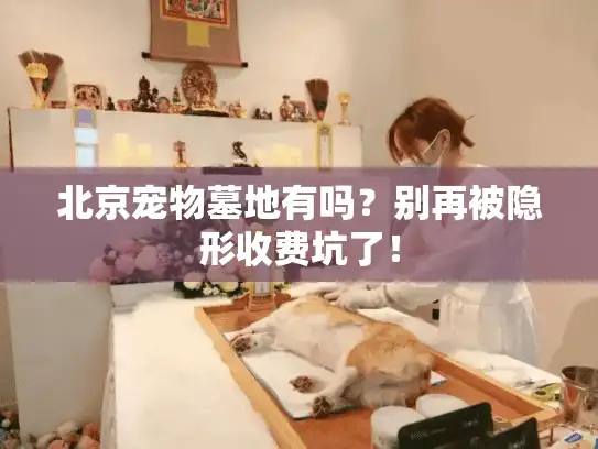 北京宠物墓地有吗？别再被隐形收费坑了！