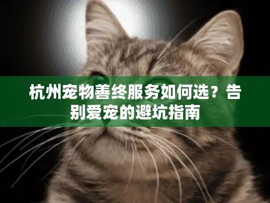 杭州宠物善终服务如何选？告别爱宠的避坑指南