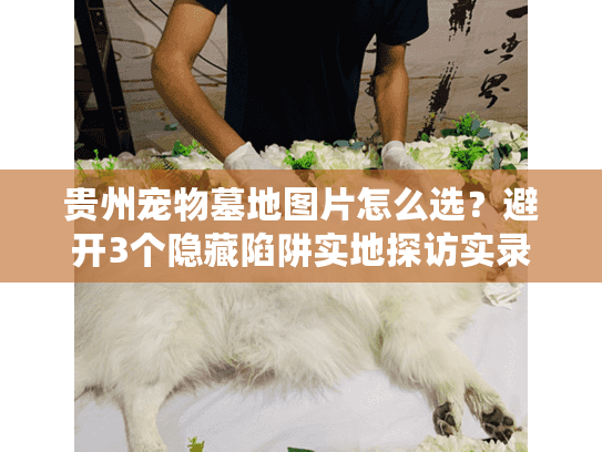 贵州宠物墓地图片怎么选？避开3个隐藏陷阱实地探访实录