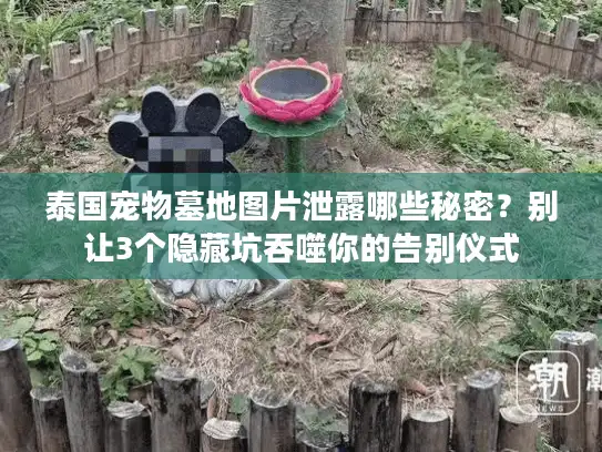 泰国宠物墓地图片泄露哪些秘密?别让3个隐藏坑吞噬你的告别仪式 泰国宠物墓地图片泄露哪些秘密?别让3个隐藏坑吞噬你的告别仪式