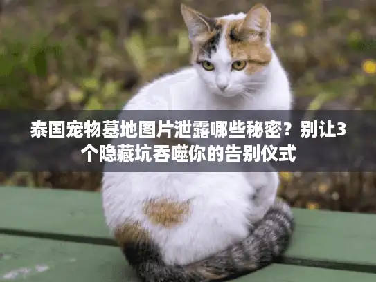 泰国宠物墓地图片泄露哪些秘密?别让3个隐藏坑吞噬你的告别仪式 泰国宠物墓地图片泄露哪些秘密?别让3个隐藏坑吞噬你的告别仪式