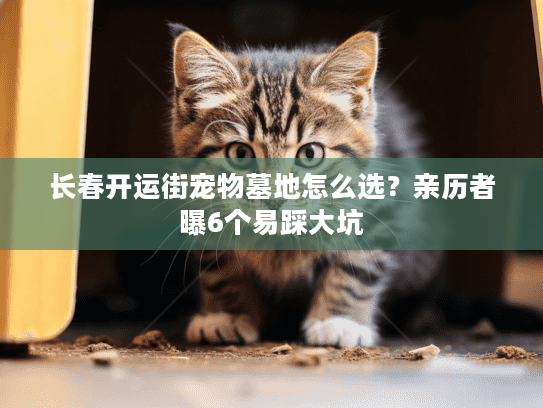 长春开运街宠物墓地怎么选？亲历者曝6个易踩大坑