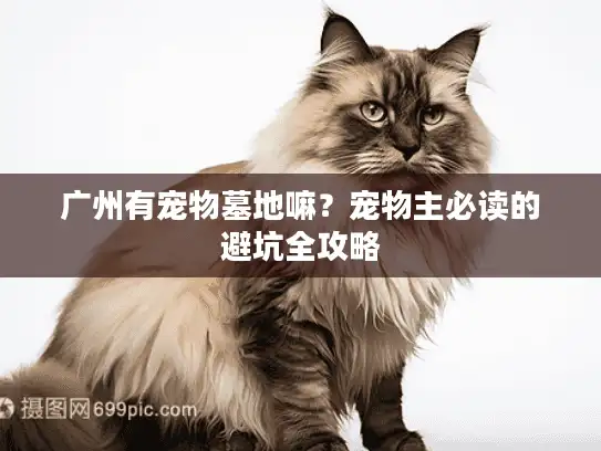 广州有宠物墓地嘛？宠物主必读的避坑全攻略