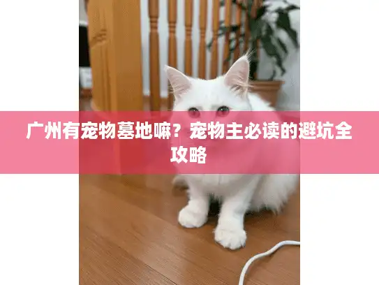 广州有宠物墓地嘛？宠物主必读的避坑全攻略