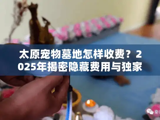 太原宠物墓地怎样收费？2025年揭密隐藏费用与独家省钱攻略