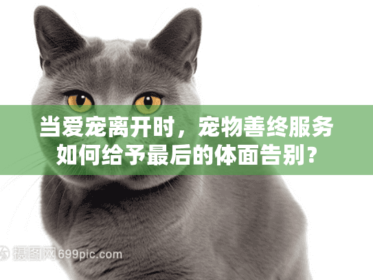 当爱宠离开时，宠物善终服务如何给予最后的体面告别？