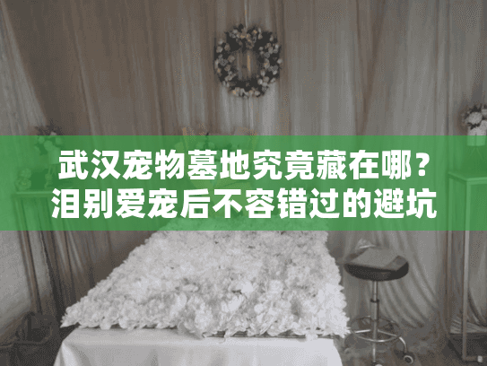 武汉宠物墓地究竟藏在哪？泪别爱宠后不容错过的避坑全路线