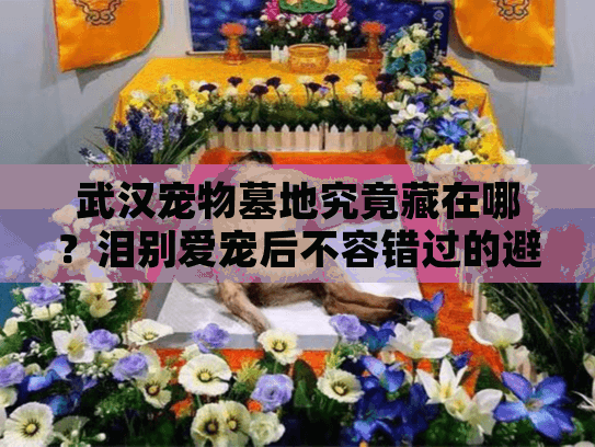 武汉宠物墓地究竟藏在哪？泪别爱宠后不容错过的避坑全路线