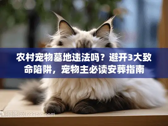 农村宠物墓地违法吗？避开3大致命陷阱，宠物主必读安葬指南