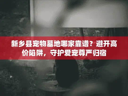 新乡县宠物墓地哪家靠谱？避开高价陷阱，守护爱宠尊严归宿