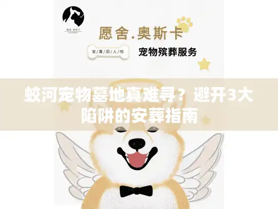 蛟河宠物墓地真难寻？避开3大陷阱的安葬指南