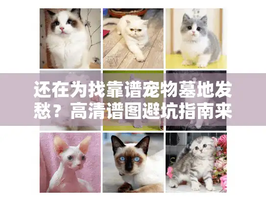 还在为找靠谱宠物墓地发愁？高清谱图避坑指南来了