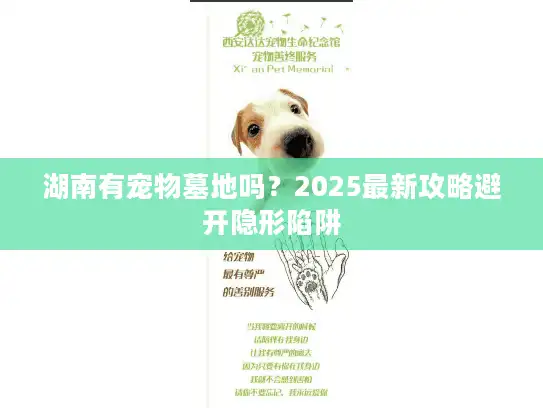 湖南有宠物墓地吗？2025最新攻略避开隐形陷阱