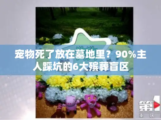 宠物死了放在墓地里?90%主人踩坑的6大殡葬盲区 宠物死了放在墓地里?90%主人踩坑的6大殡葬盲区