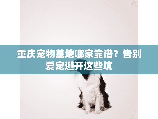 重庆宠物墓地哪家靠谱？告别爱宠避开这些坑