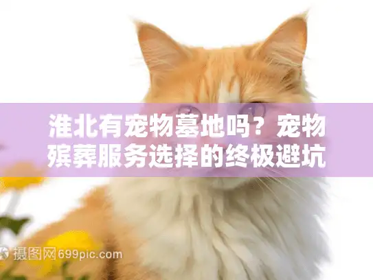 淮北有宠物墓地吗?宠物殡葬服务选择的终极避坑指南 淮北有宠物墓地吗?宠物殡葬服务选择的终极避坑指南