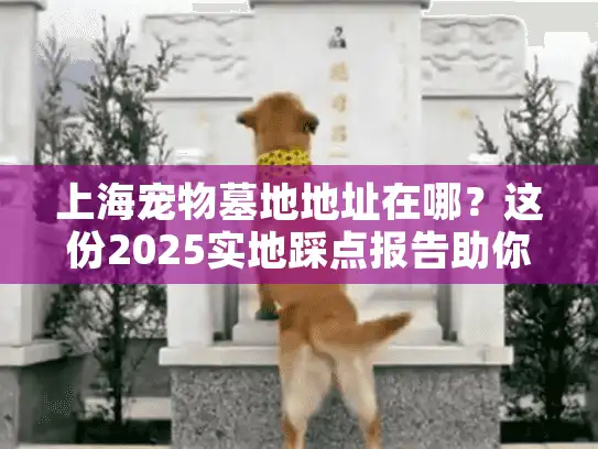 上海宠物墓地地址在哪？这份2025实地踩点报告助你避开选址雷区