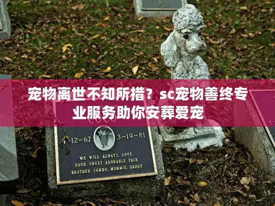 宠物离世不知所措？sc宠物善终专业服务助你安葬爱宠