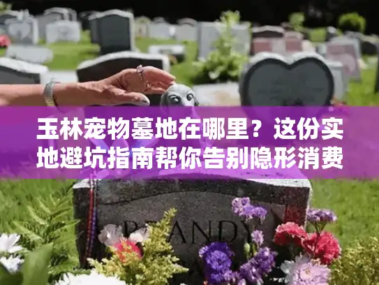 玉林宠物墓地在哪里？这份实地避坑指南帮你告别隐形消费