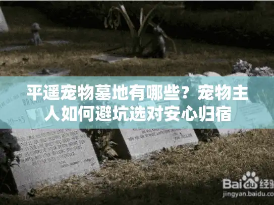 平遥宠物墓地有哪些？宠物主人如何避坑选对安心归宿