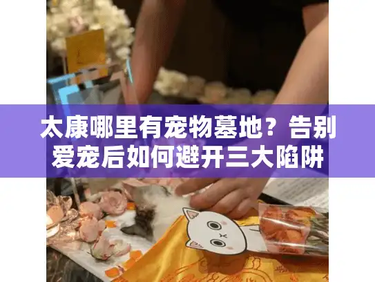 太康哪里有宠物墓地？告别爱宠后如何避开三大陷阱