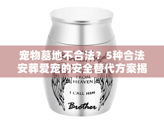宠物墓地不合法?5种合法安葬爱宠的安全替代方案揭晓 宠物墓地不合法?5种合法安葬爱宠的安全替代方案揭晓