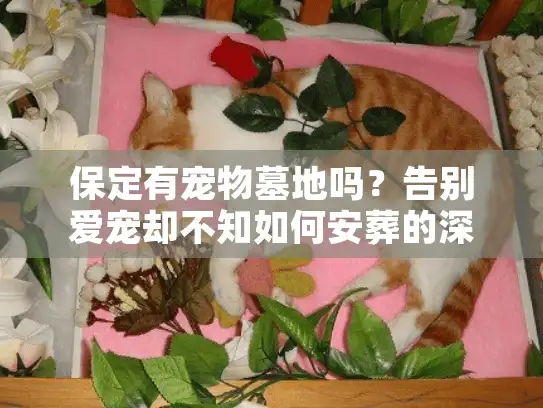 保定有宠物墓地吗？告别爱宠却不知如何安葬的深夜困惑