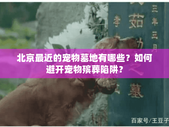北京最近的宠物墓地有哪些？如何避开宠物殡葬陷阱？