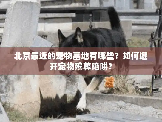 北京最近的宠物墓地有哪些？如何避开宠物殡葬陷阱？
