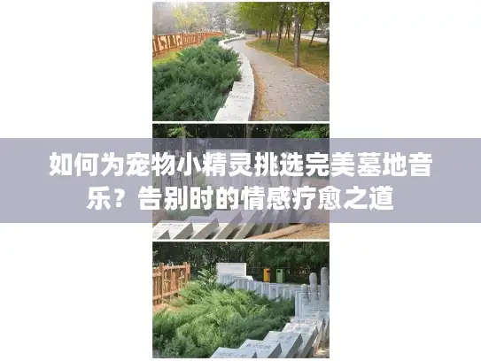 如何为宠物小精灵挑选完美墓地音乐?告别时的情感疗愈之道 如何为宠物小精灵挑选完美墓地音乐?告别时的情感疗愈之道