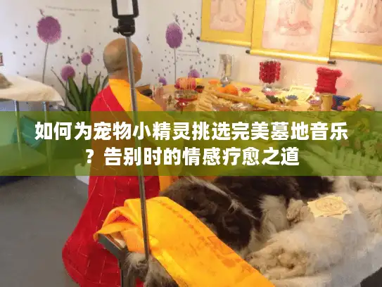 如何为宠物小精灵挑选完美墓地音乐?告别时的情感疗愈之道 如何为宠物小精灵挑选完美墓地音乐?告别时的情感疗愈之道