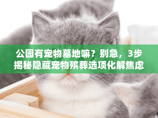 公园有宠物墓地嘛？别急，3步揭秘隐藏宠物殡葬选项化解焦虑