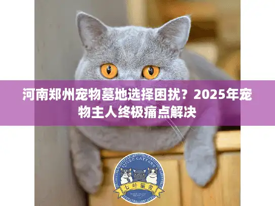 河南郑州宠物墓地选择困扰？2025年宠物主人终极痛点解决