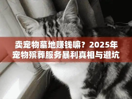 卖宠物墓地赚钱嘛？2025年宠物殡葬服务暴利真相与避坑秘诀