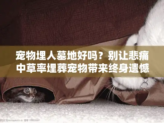 宠物埋人墓地好吗?别让悲痛中草率埋葬宠物带来终身遗憾 宠物埋人墓地好吗?别让悲痛中草率埋葬宠物带来终身遗憾