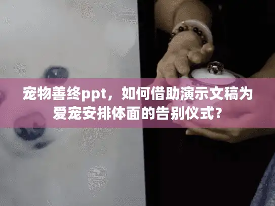 宠物善终ppt,如何借助演示文稿为爱宠安排体面的告别仪式? 宠物善终ppt,如何借助演示文稿为爱宠安排体面的告别仪式?