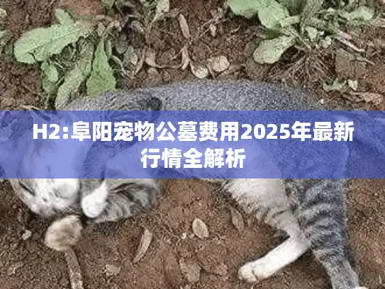 H2:阜阳宠物公墓费用2025年最新行情全解析 H2:阜阳宠物公墓费用2025年最新行情全解析