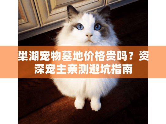 巢湖宠物墓地价格贵吗？资深宠主亲测避坑指南