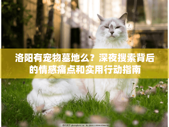 洛阳有宠物墓地么?深夜搜索背后的情感痛点和实用行动指南 洛阳有宠物墓地么?深夜搜索背后的情感痛点和实用行动指南