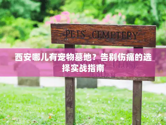 西安哪儿有宠物墓地?告别伤痛的选择实战指南 西安哪儿有宠物墓地?告别伤痛的选择实战指南