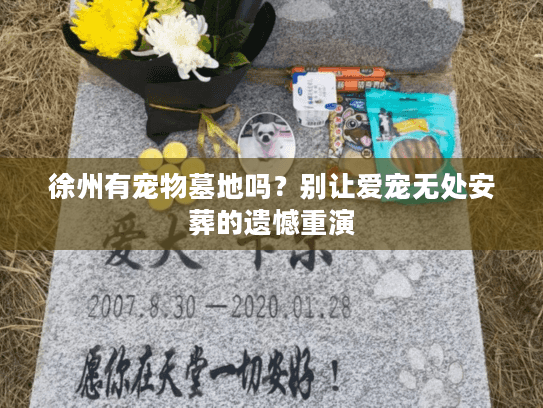 徐州有宠物墓地吗？别让爱宠无处安葬的遗憾重演